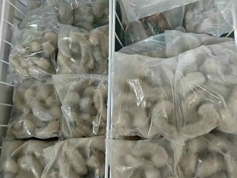 Larvas PL12 - Alta Supervivencia