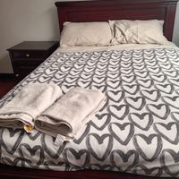 venta de nautilus pulilus